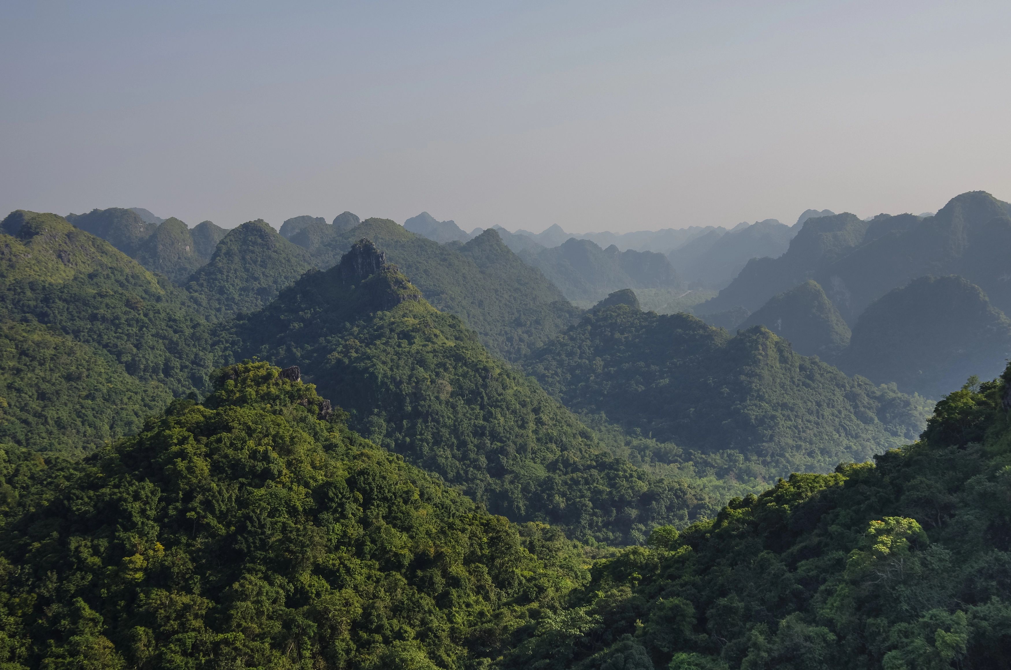 Vườn Quốc gia Cát Bà