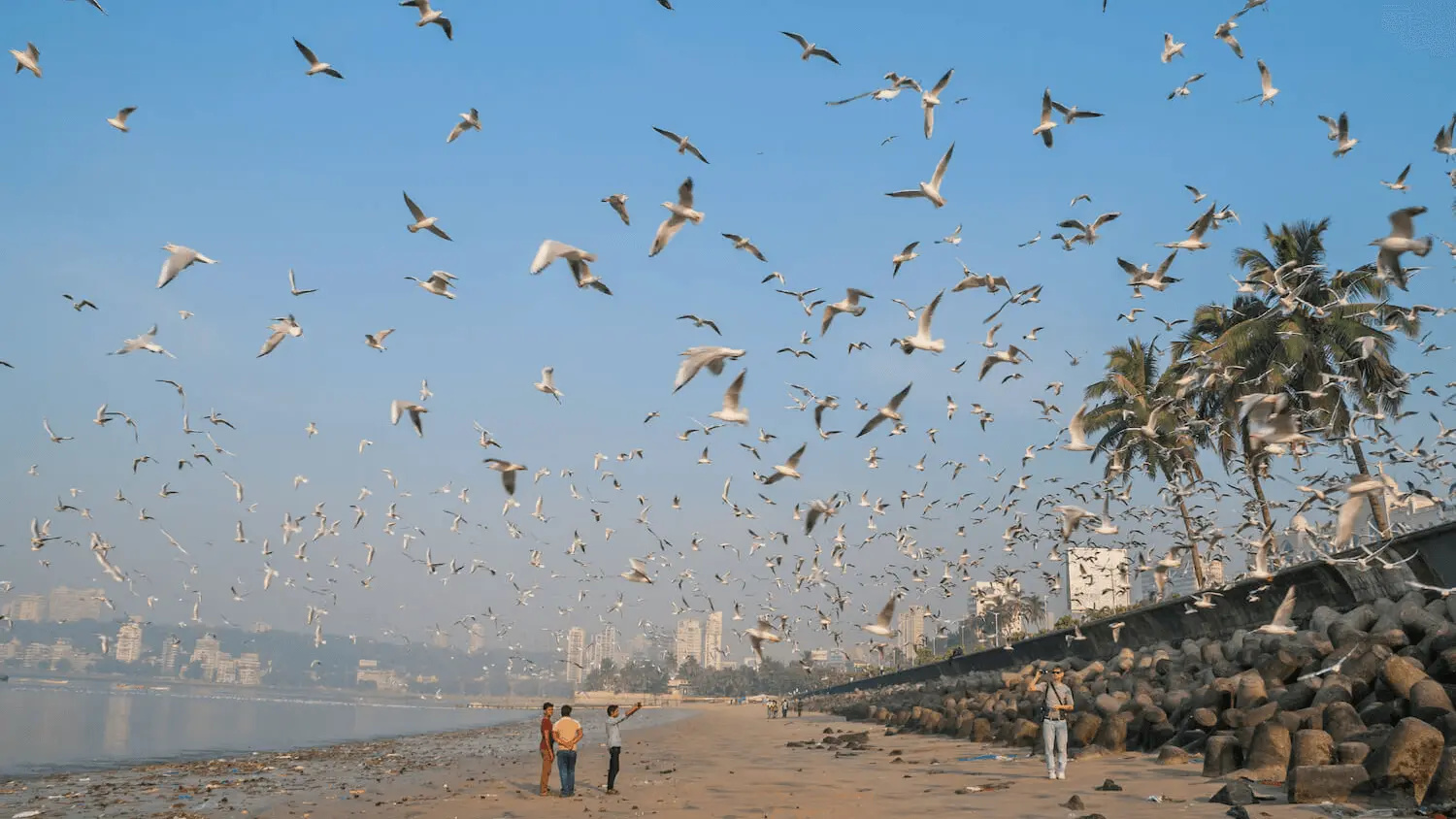 Ho Chi Minh (SGN) to Mumbai (BOM)