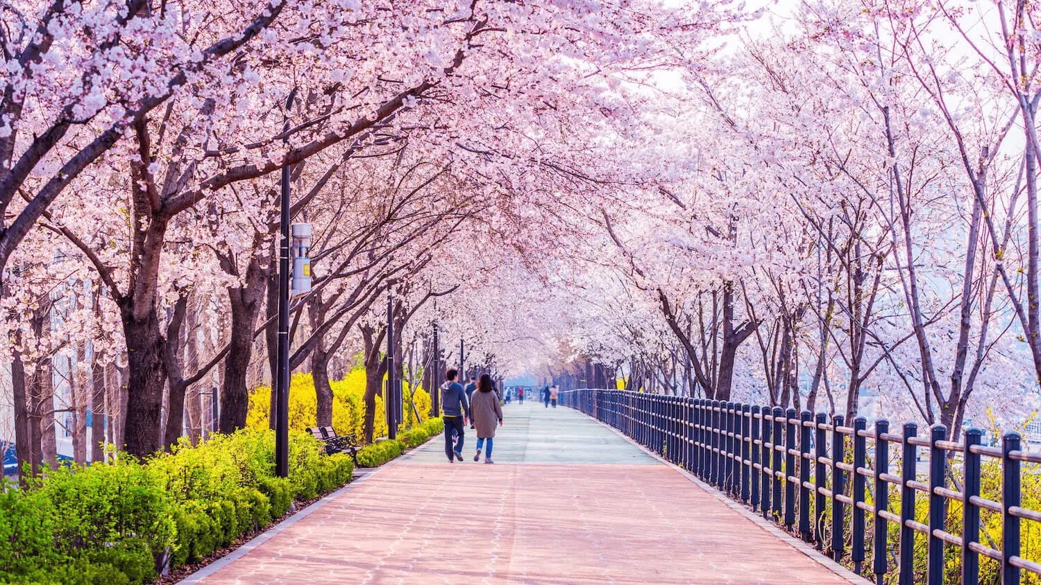 Ha Noi (HAN) to Seoul (Incheon) (ICN)