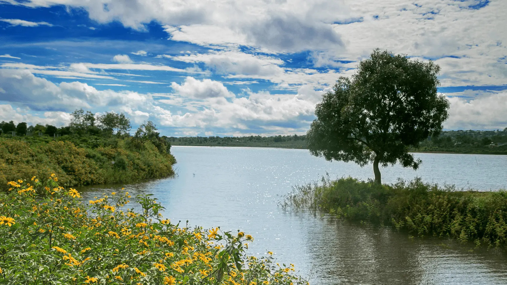 Tp. Hồ Chí Minh (SGN) to Pleiku (PXU)