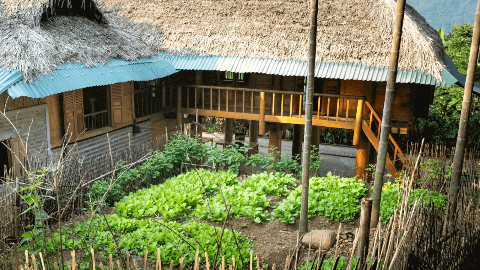 Tp. Hồ Chí Minh (SGN) to Thanh Hoá (THD)