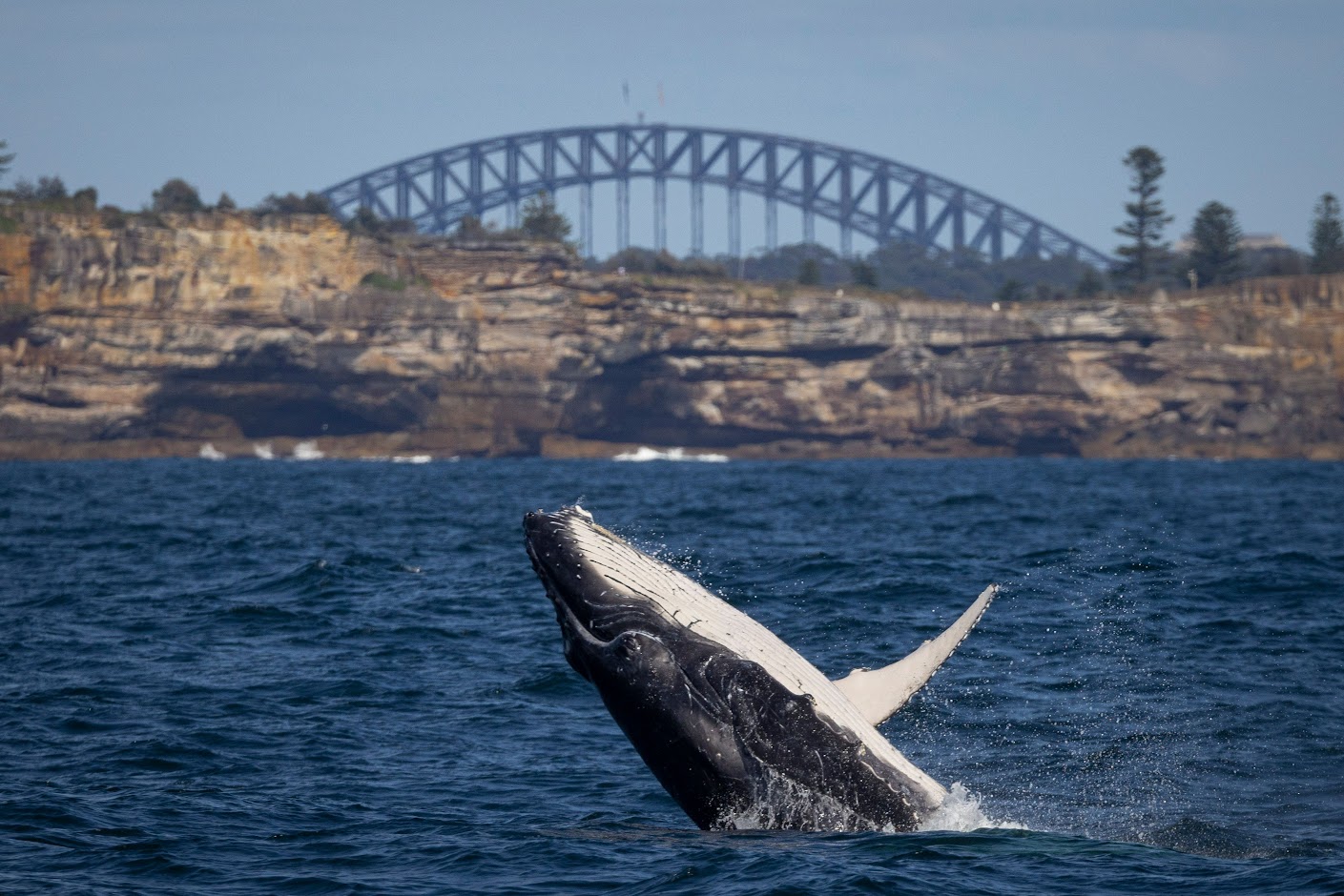 Thời tiết Sydney mùa Vivid và những lưu ý khi đi du lịch Sydney tháng 5
