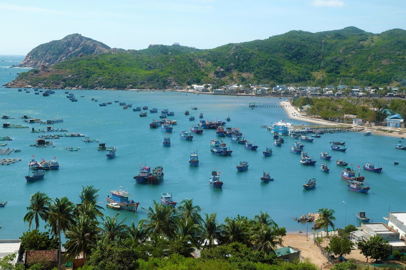 Vinh Vinh Hy