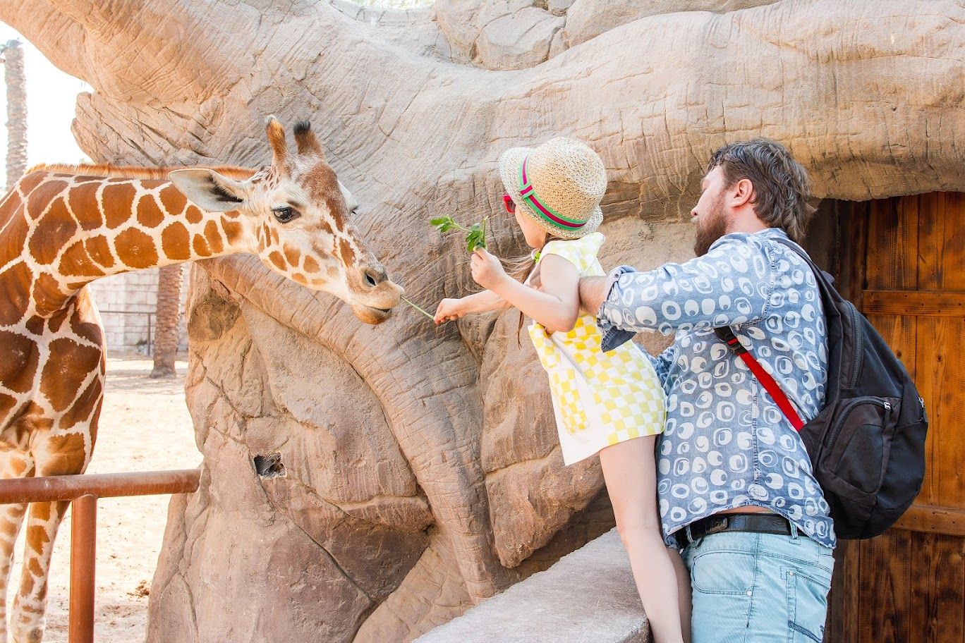 Vinpearl Safari Phú Quốc