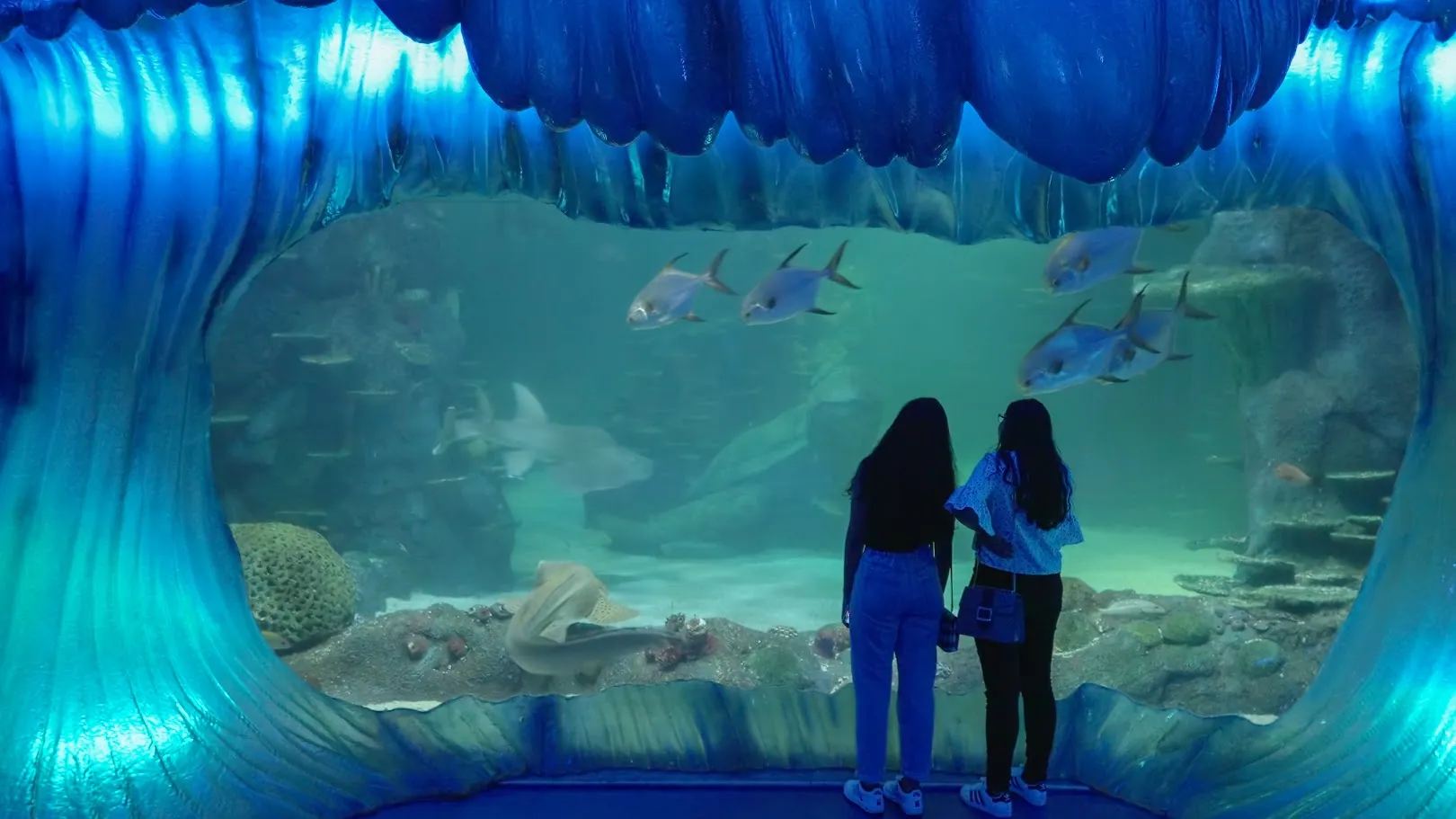 SEA LIFE Sydney Aquarium