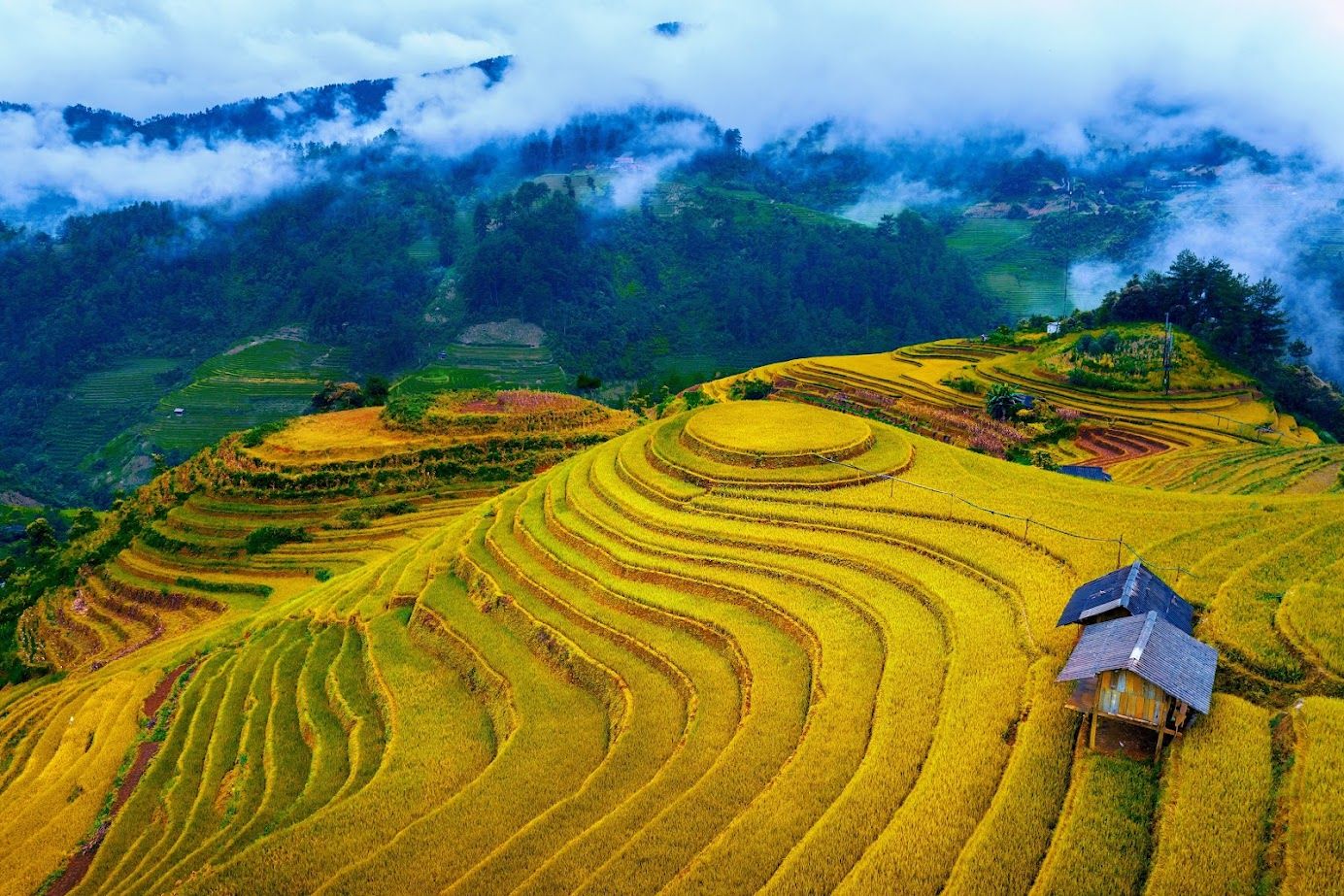 拉潘滕覆盆子山